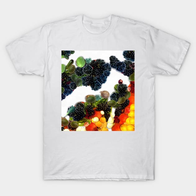 Fruit set painting 02 T-Shirt by Choulous79